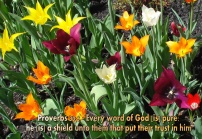 bible versed flowers (4)